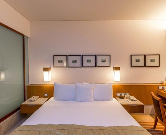 Hotel Plaza International Near Delhi Airport Νέο Δελχί Εξωτερικό φωτογραφία